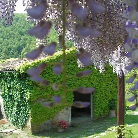 Casa Uscioli *